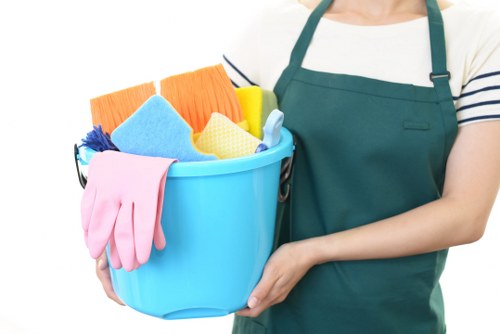 Deep cleaning a bright modern kitchen with detailed surface care