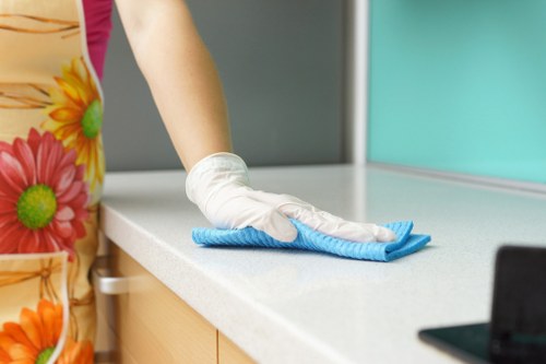 Interior oven cleaning with grease buildup removal