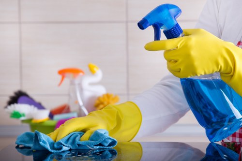 Professional upholstery cleaning of a living room sofa