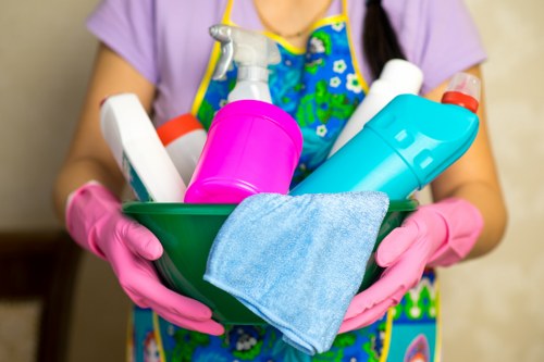 Bathroom cleaning supplies ready for home maintenance