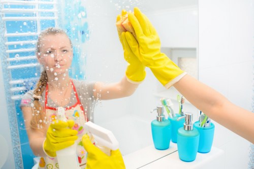 Household regular cleaning tasks in living spaces