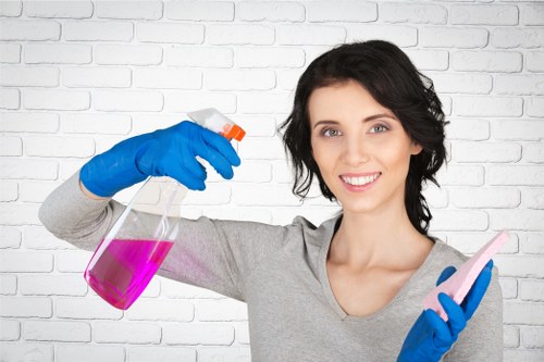 DIY oven cleaning tools and supplies on a counter