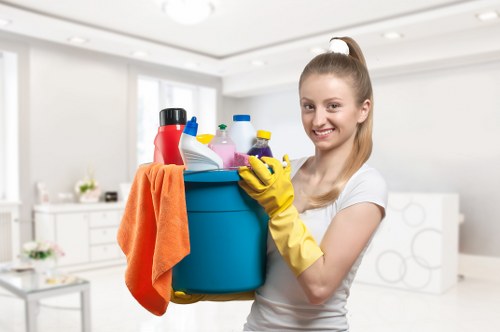 Professional deep cleaning tools arranged for home cleaning