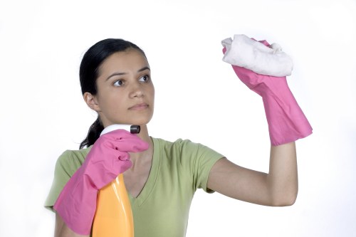 Cleaning supplies arranged for a move in cleaning checklist