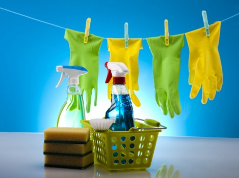 Professional domestic cleaning in Harringay