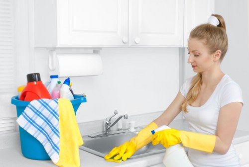 Cleaning tools and a fresh Harringay living space
